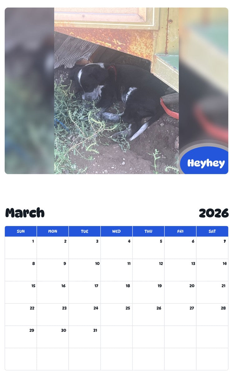 November 2025 - October 2026 Heyhey - Pawidols Pet Calendar