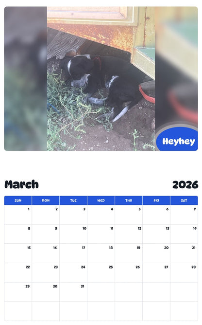 November 2025 - October 2026 Heyhey - Pawidols Pet Calendar