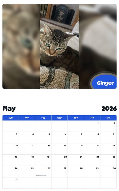 2026 - 2027 Ginger - Pawidols Pet Calendar