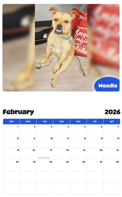 November 2025 - October 2026 Weedle - Pawidols Pet Calendar