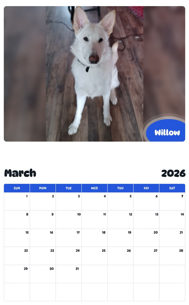 November 2025 - October 2026 Willow - Pawidols Pet Calendar