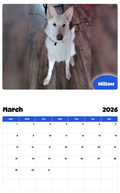 November 2025 - October 2026 Willow - Pawidols Pet Calendar