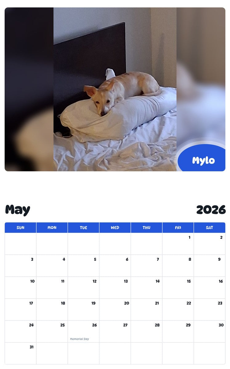 2026 - 2027 Mylo - Pawidols Pet Calendar