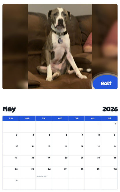 2026 - 2027 Bolt - Pawidols Pet Calendar