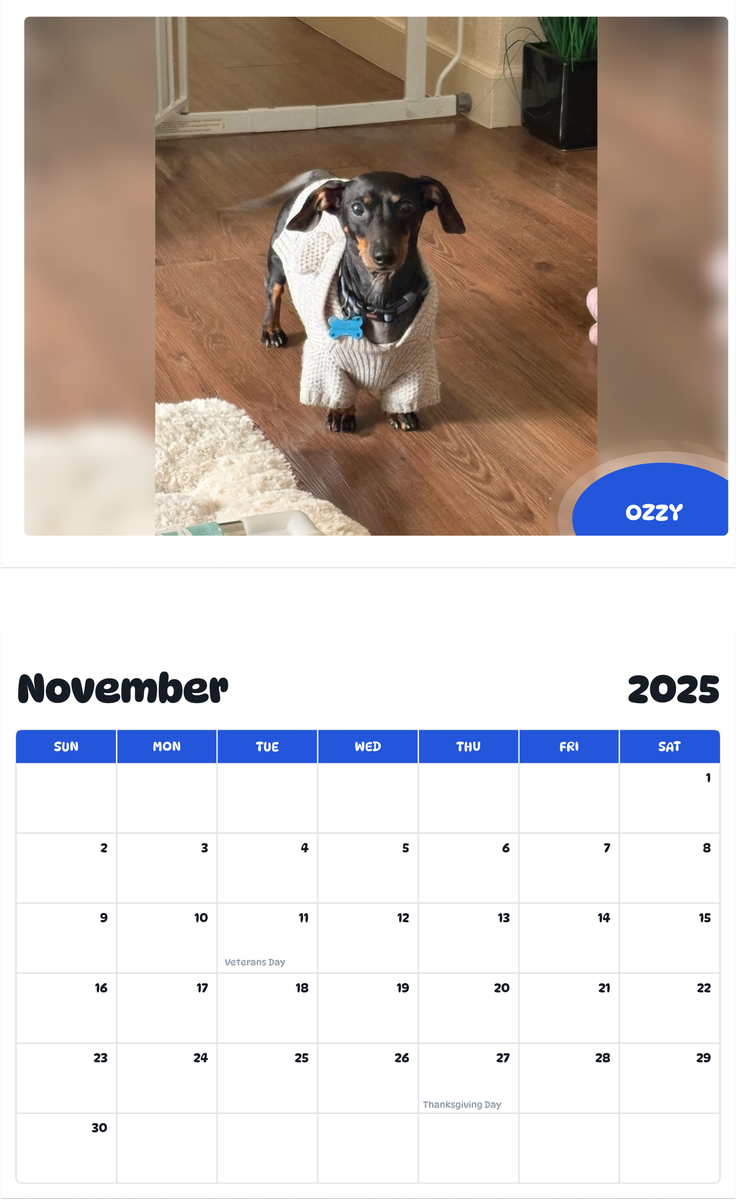 July 2025 - June 2026 Ozzy - Pawidols Pet Calendar