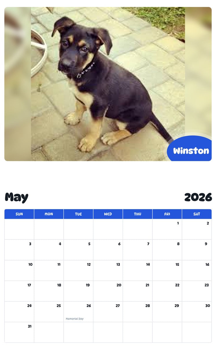 2026 - 2027 Winston - Pawidols Pet Calendar