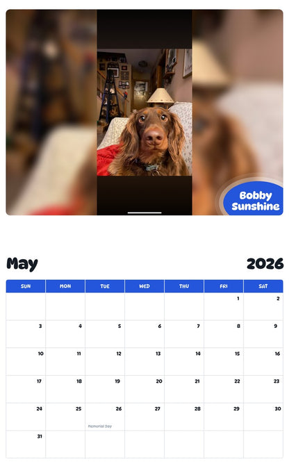 2026 - 2027 Bobby Sunshine - Pawidols Pet Calendar
