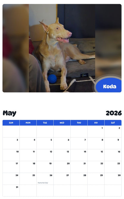 2026 - 2027 Koda - Pawidols Pet Calendar