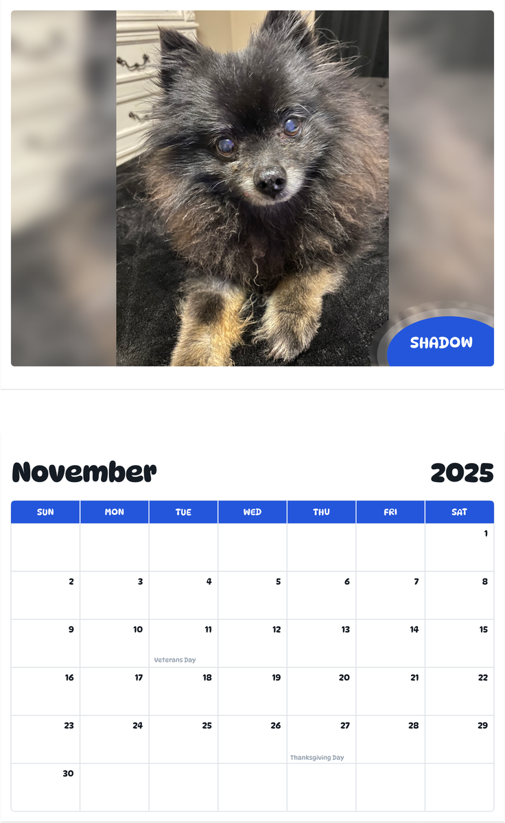 July 2025 - June 2026 Shadow - Pawidols Pet Calendar