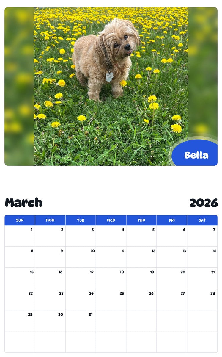 November 2025 - October 2026 Bella - Pawidols Pet Calendar