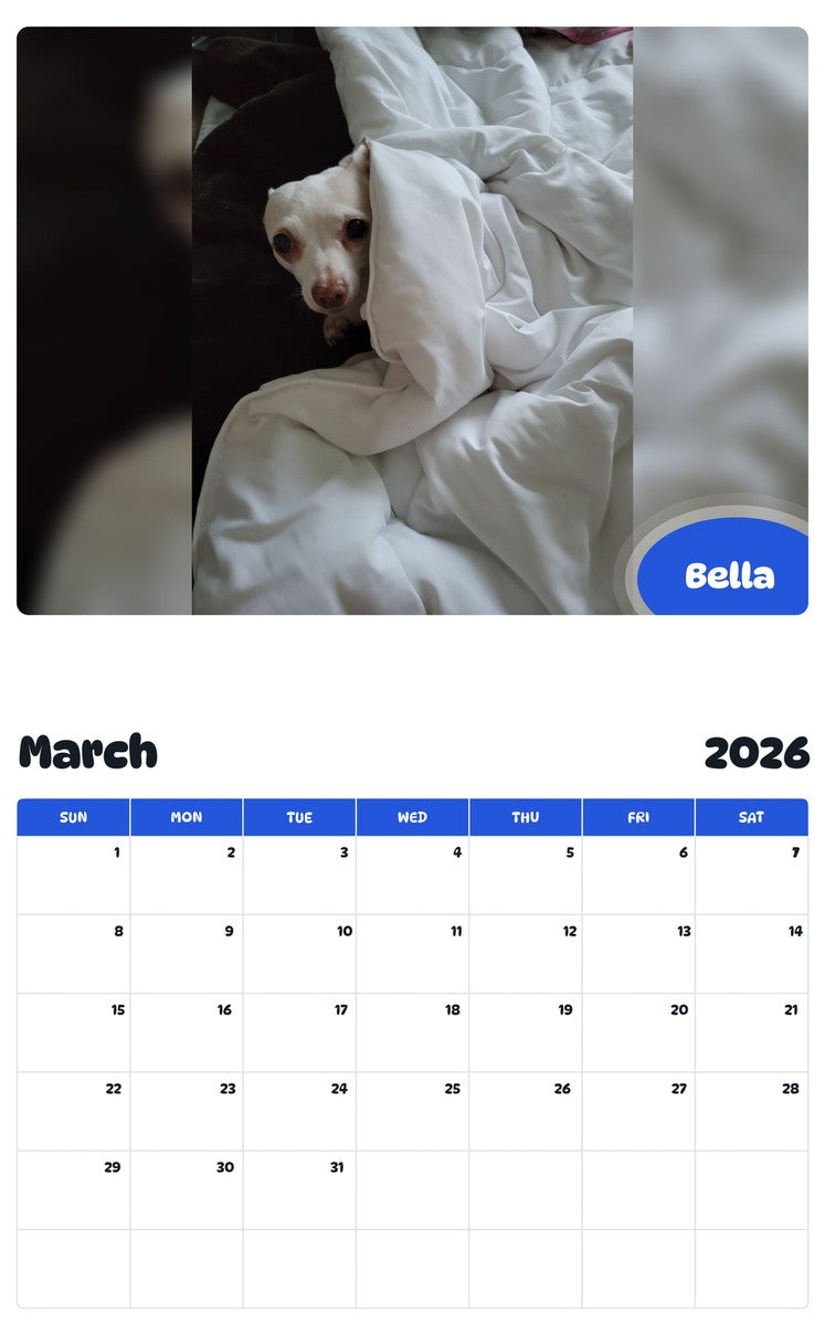 November 2025 - October 2026 Bella - Pawidols Pet Calendar