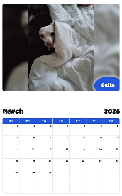 November 2025 - October 2026 Bella - Pawidols Pet Calendar