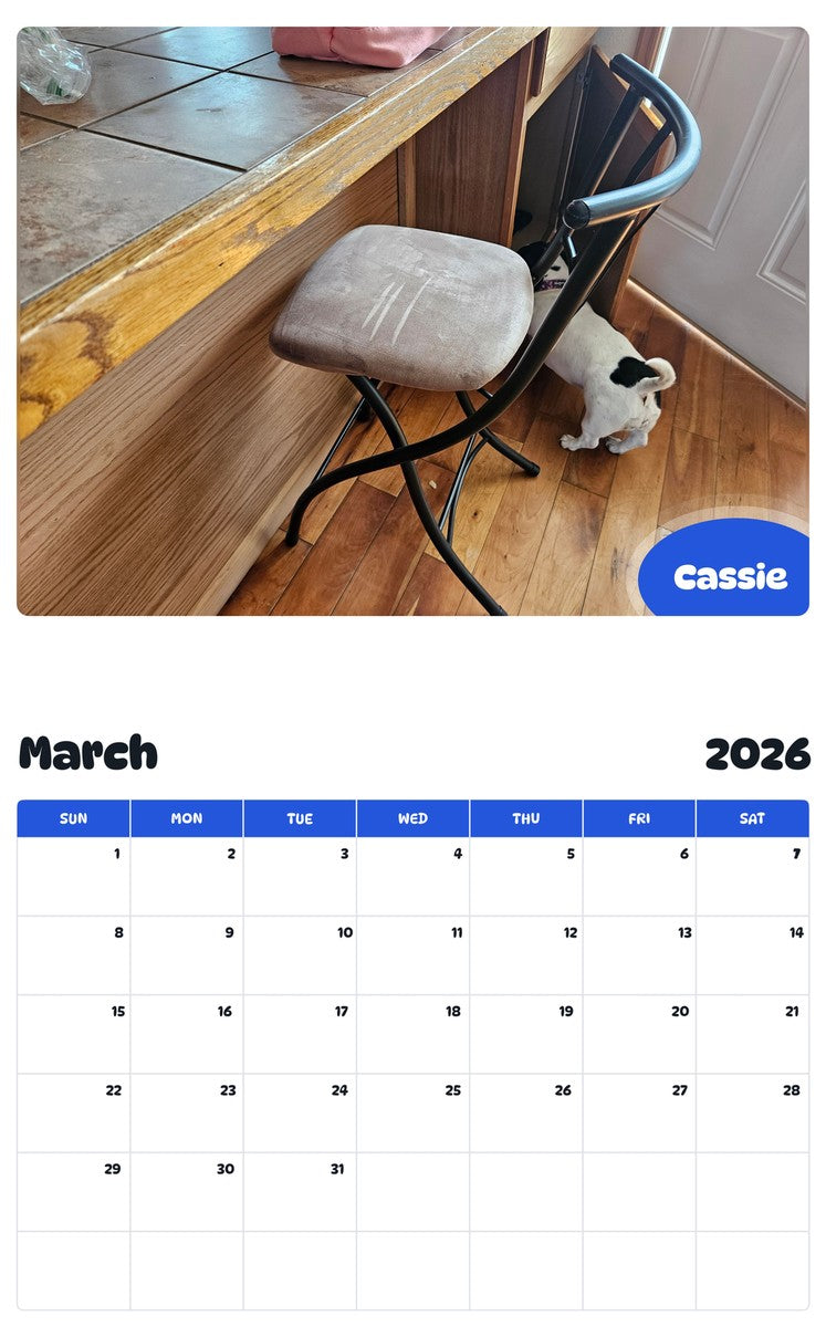 November 2025 - October 2026 Cassie - Pawidols Pet Calendar