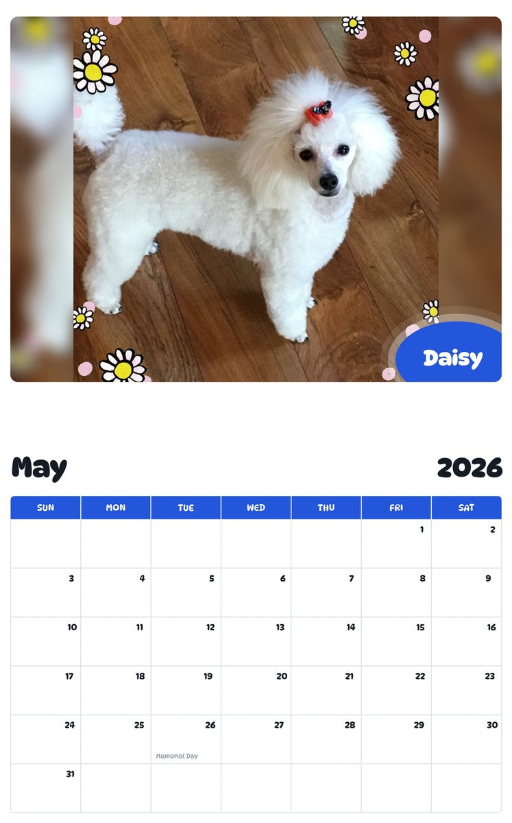 2026 - 2027 Daisy - Pawidols Pet Calendar