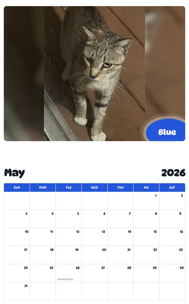 2026 - 2027 Blue - Pawidols Pet Calendar
