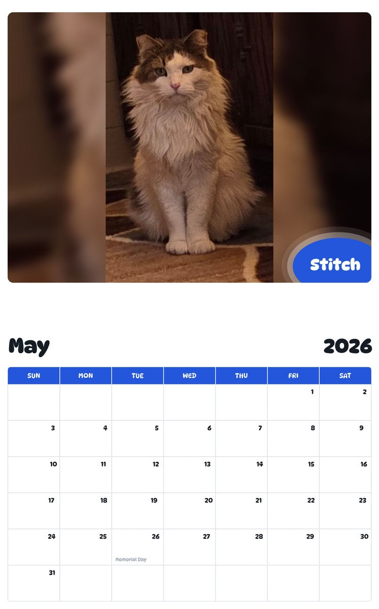 2026 - 2027 Stitch - Pawidols Pet Calendar
