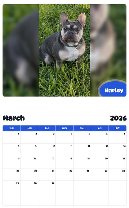 November 2025 - October 2026 Harley - Pawidols Pet Calendar