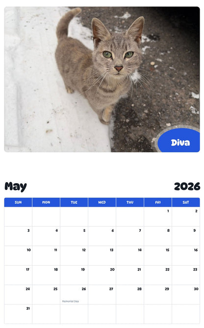 2026 - 2027 Diva - Pawidols Pet Calendar