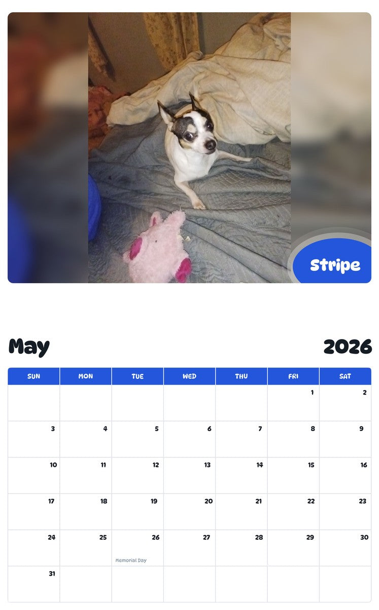 2026 - 2027 Stripe - Pawidols Pet Calendar