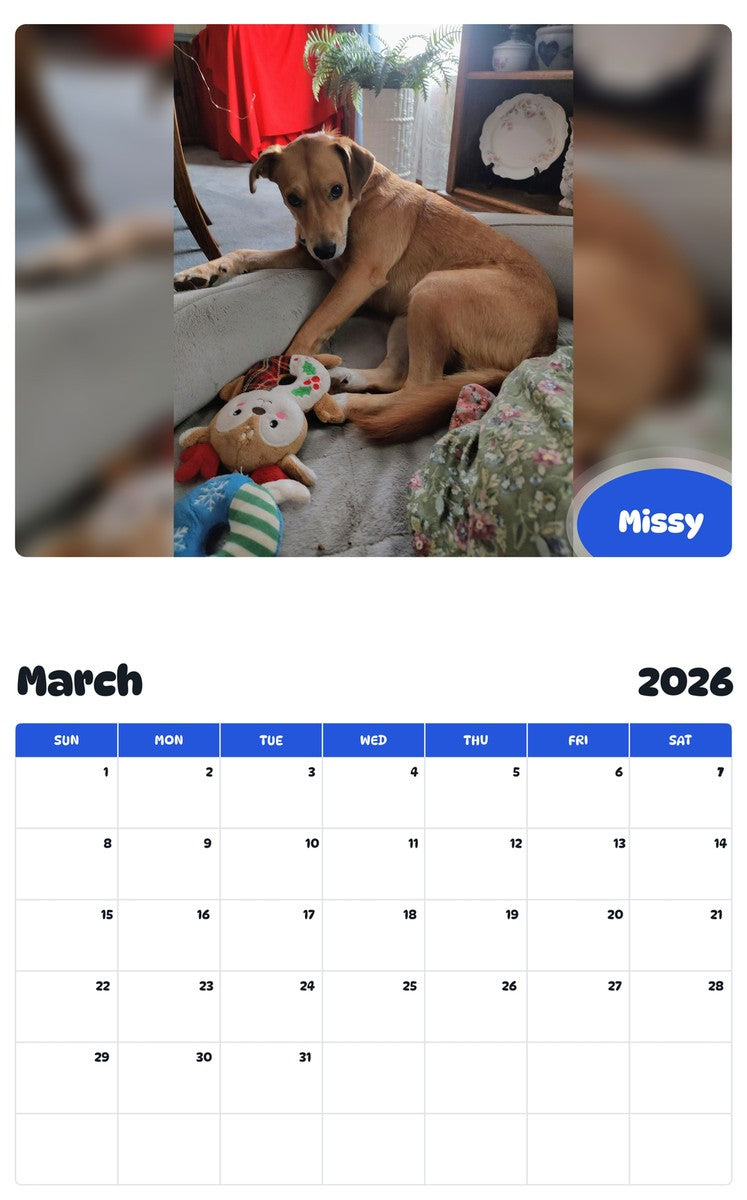 November 2025 - October 2026 Missy - Pawidols Pet Calendar