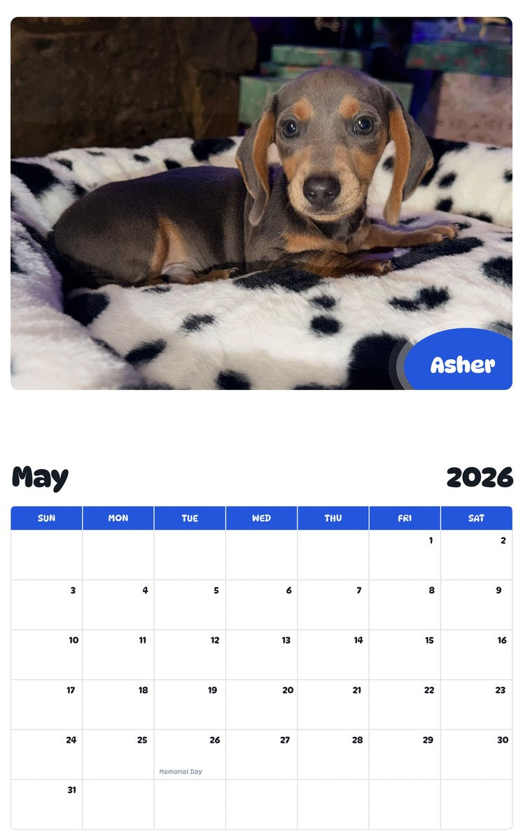 2026 - 2027 Asher - Pawidols Pet Calendar