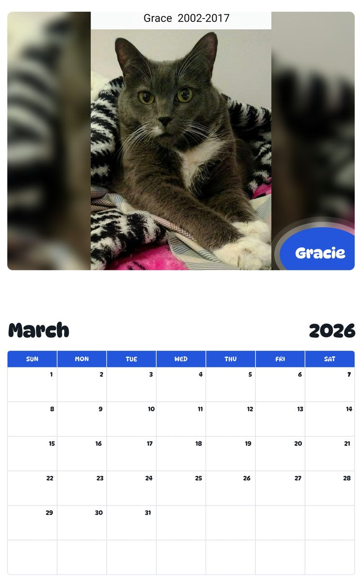 November 2025 - October 2026 Gracie - Pawidols Pet Calendar