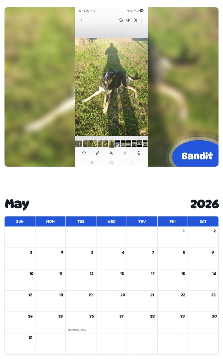 2026 - 2027 Bandit - Pawidols Pet Calendar