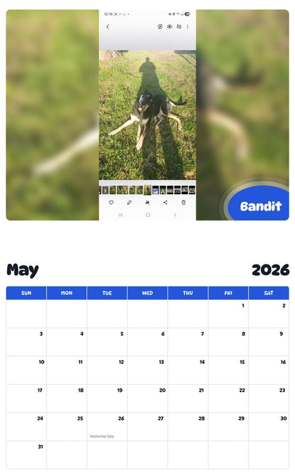 2026 - 2027 Bandit - Pawidols Pet Calendar
