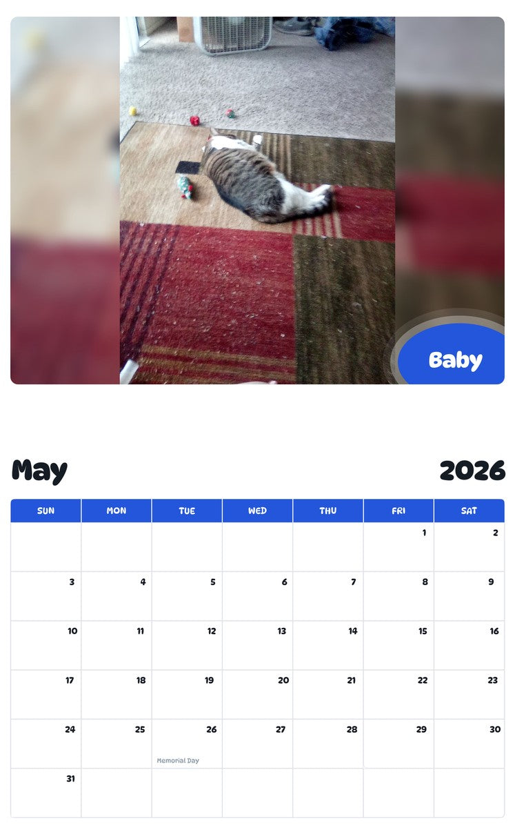 2026 - 2027 Baby - Pawidols Pet Calendar