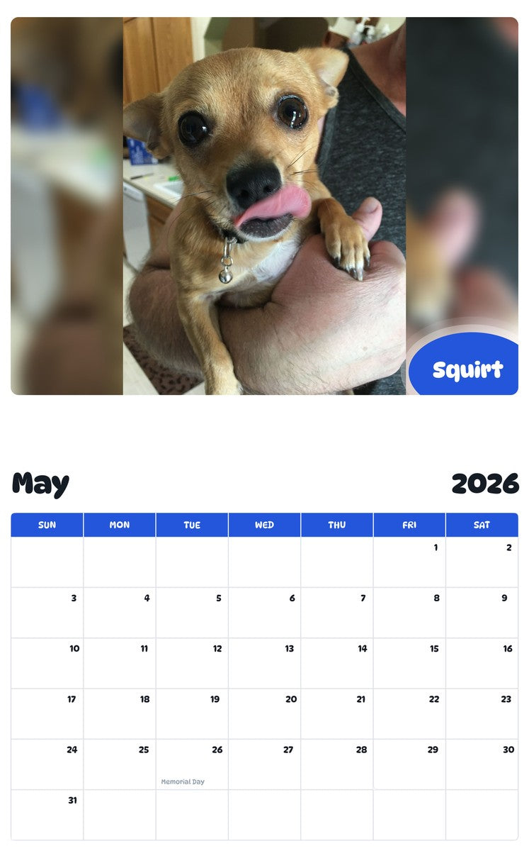 2026 - 2027 Squirt - Pawidols Pet Calendar