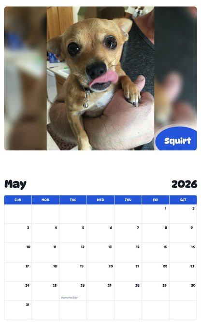2026 - 2027 Squirt - Pawidols Pet Calendar