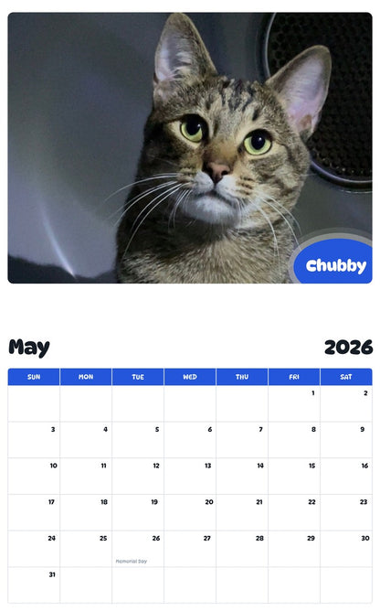 2026 - 2027 Chubby - Pawidols Pet Calendar
