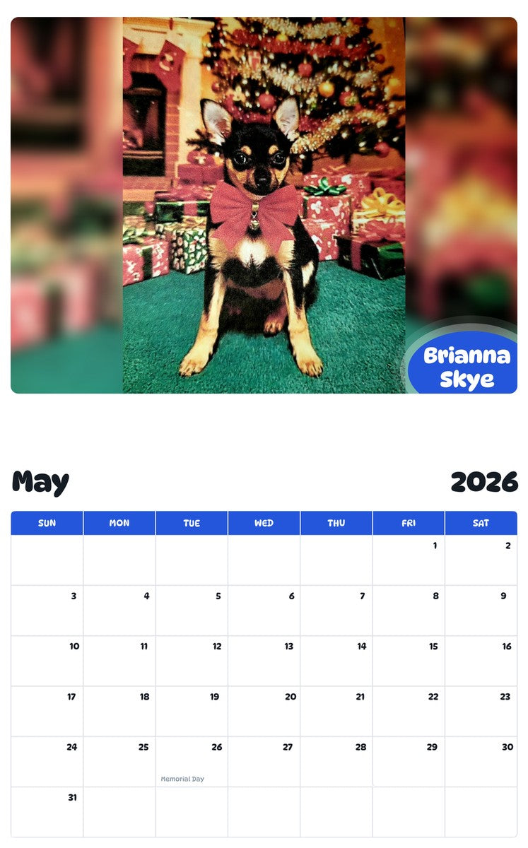 2026 - 2027 Brianna Skye - Pawidols Pet Calendar