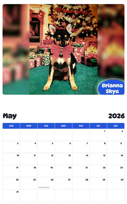2026 - 2027 Brianna Skye - Pawidols Pet Calendar