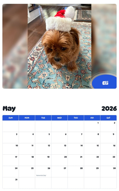 2026 - 2027 Eli - Pawidols Pet Calendar