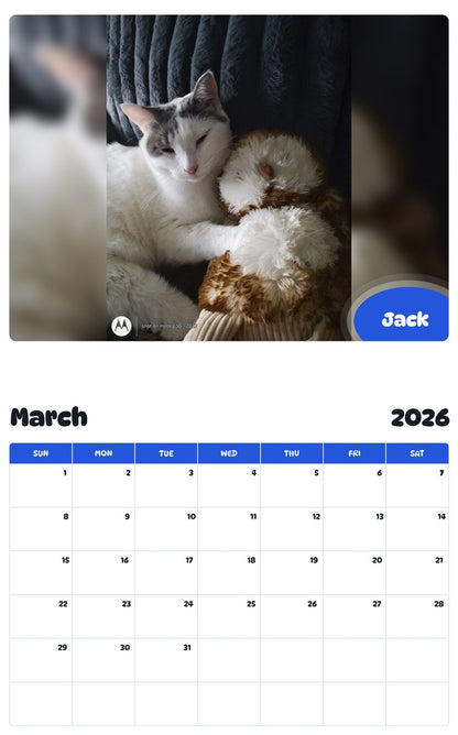 November 2025 - October 2026 Jack - Pawidols Pet Calendar