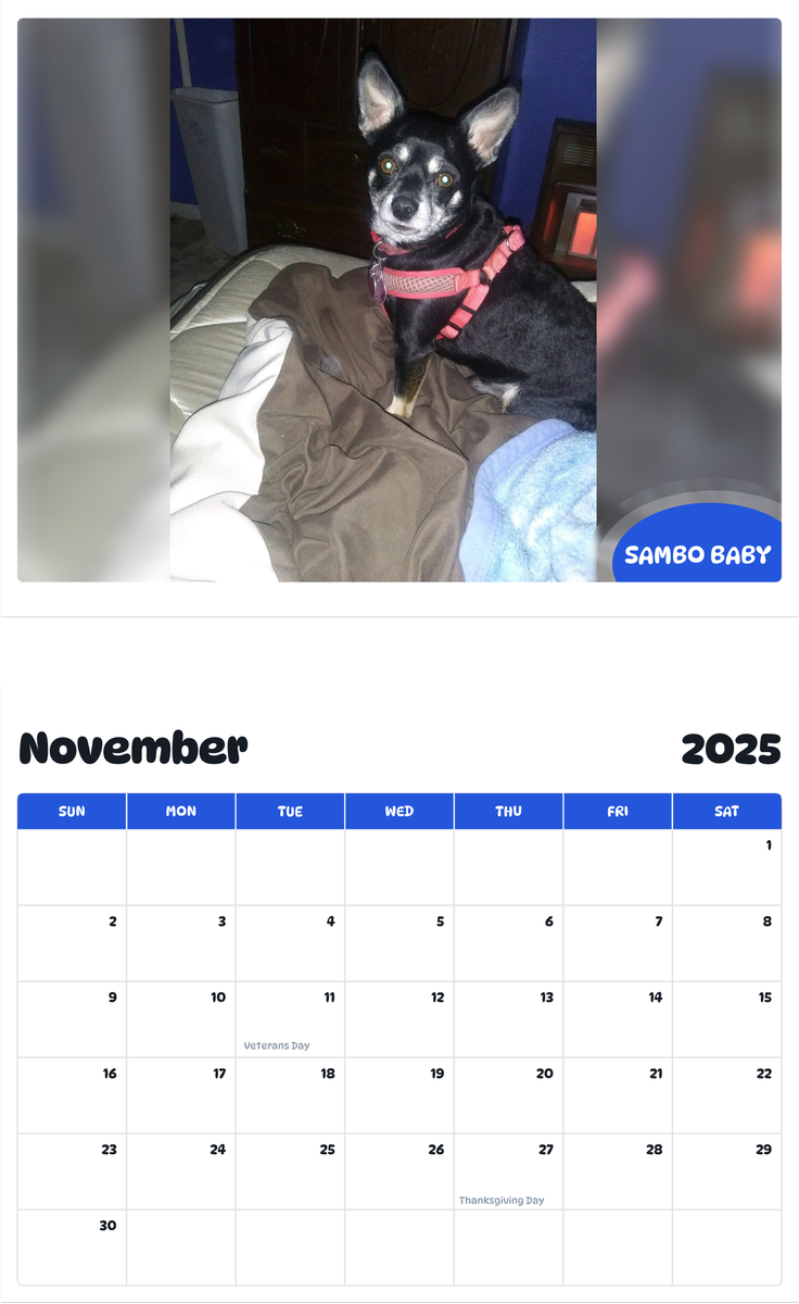 July 2025 - June 2026 Sambo Baby - Pawidols Pet Calendar