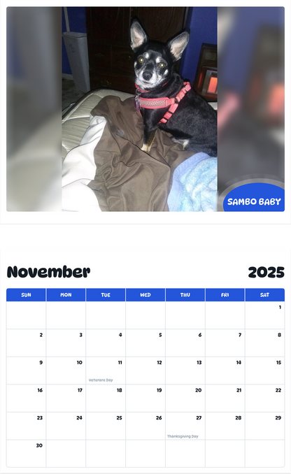 July 2025 - June 2026 Sambo Baby - Pawidols Pet Calendar