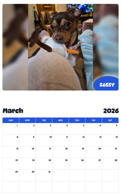 November 2025 - October 2026 SASSY - Pawidols Pet Calendar