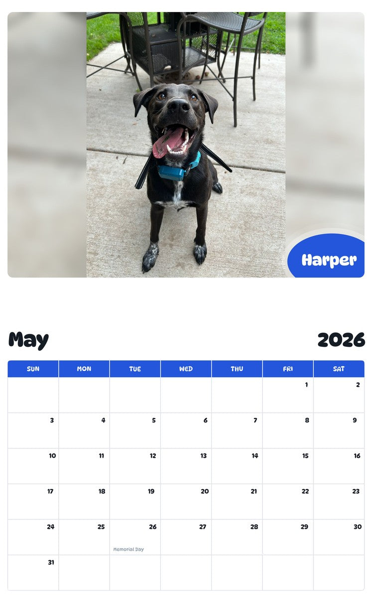 2026 - 2027 Harper - Pawidols Pet Calendar