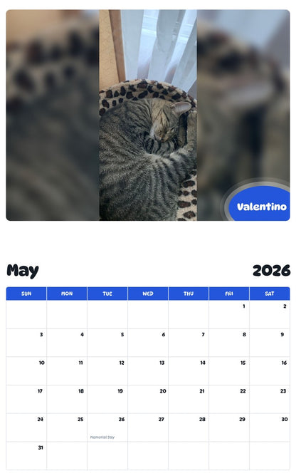 2026 - 2027 Valentino - Pawidols Pet Calendar