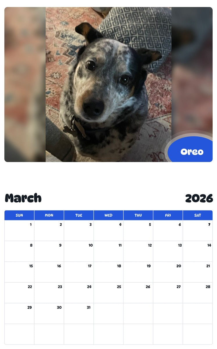 November 2025 - October 2026 Oreo - Pawidols Pet Calendar
