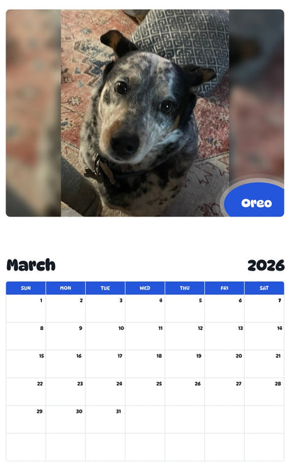 November 2025 - October 2026 Oreo - Pawidols Pet Calendar
