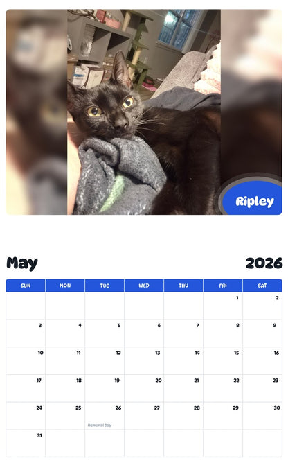 2026 - 2027 Ripley - Pawidols Pet Calendar