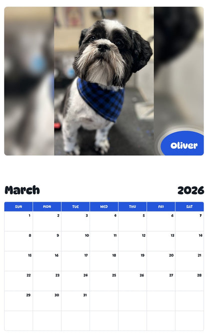 November 2025 - October 2026 Oliver - Pawidols Pet Calendar