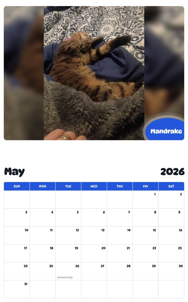 2026 - 2027 Mandrake - Pawidols Pet Calendar