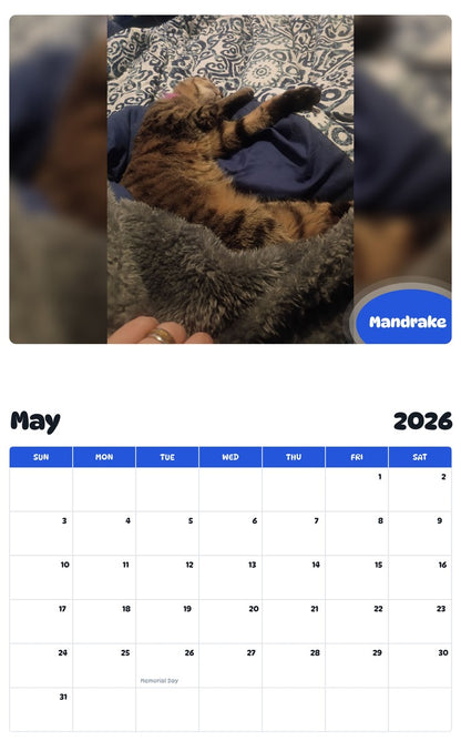 2026 - 2027 Mandrake - Pawidols Pet Calendar