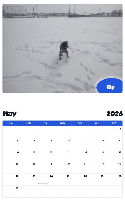 2026 - 2027 Rip - Pawidols Pet Calendar