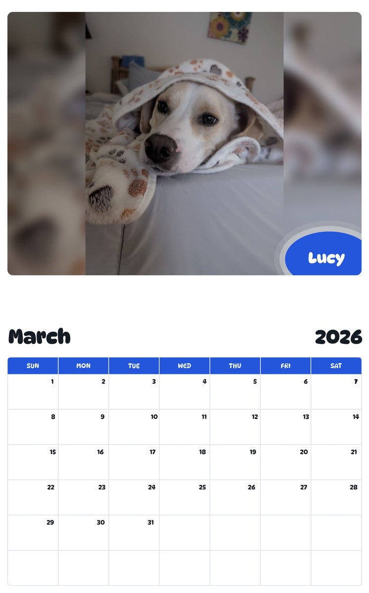 November 2025 - October 2026 Lucy - Pawidols Pet Calendar