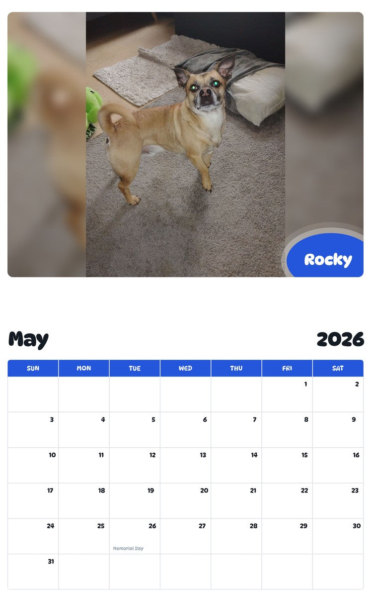 2026 - 2027 Rocky - Pawidols Pet Calendar